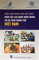 Báo cáo phân tích kết quả: Khảo sát lao động nước ngoài tại 9 tỉnh/thành phố việt Nam